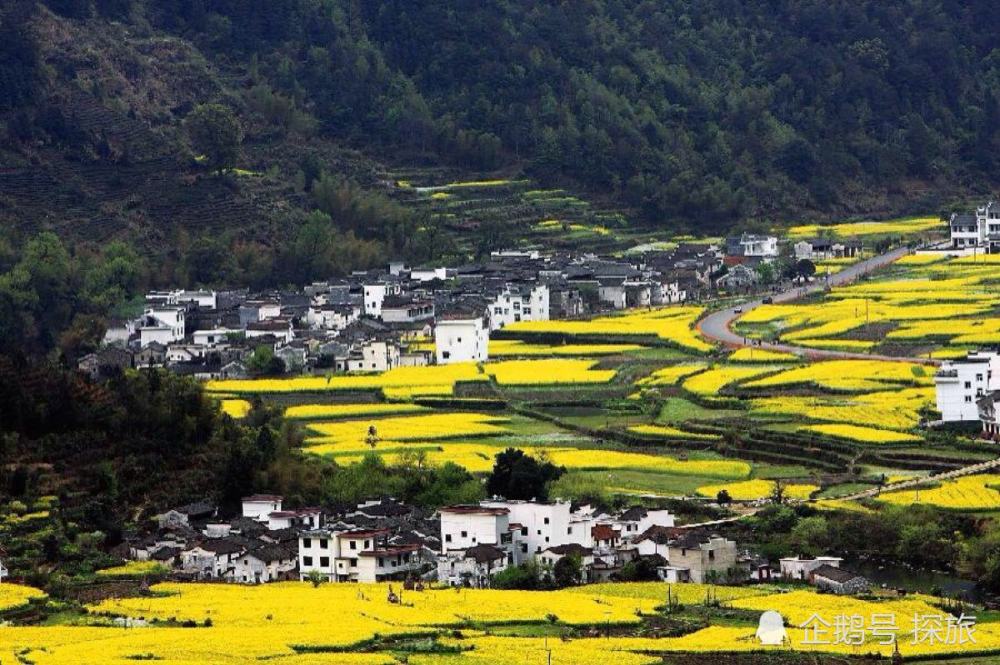 江西绿色崛起的绿色力量,绿色江西,绿色未来