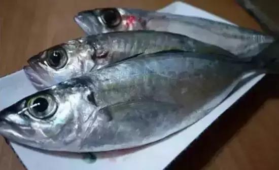 海南，热带天堂的绝美画卷