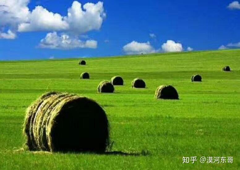 呼伦贝尔，草原之珠的魅力探秘与发现之旅