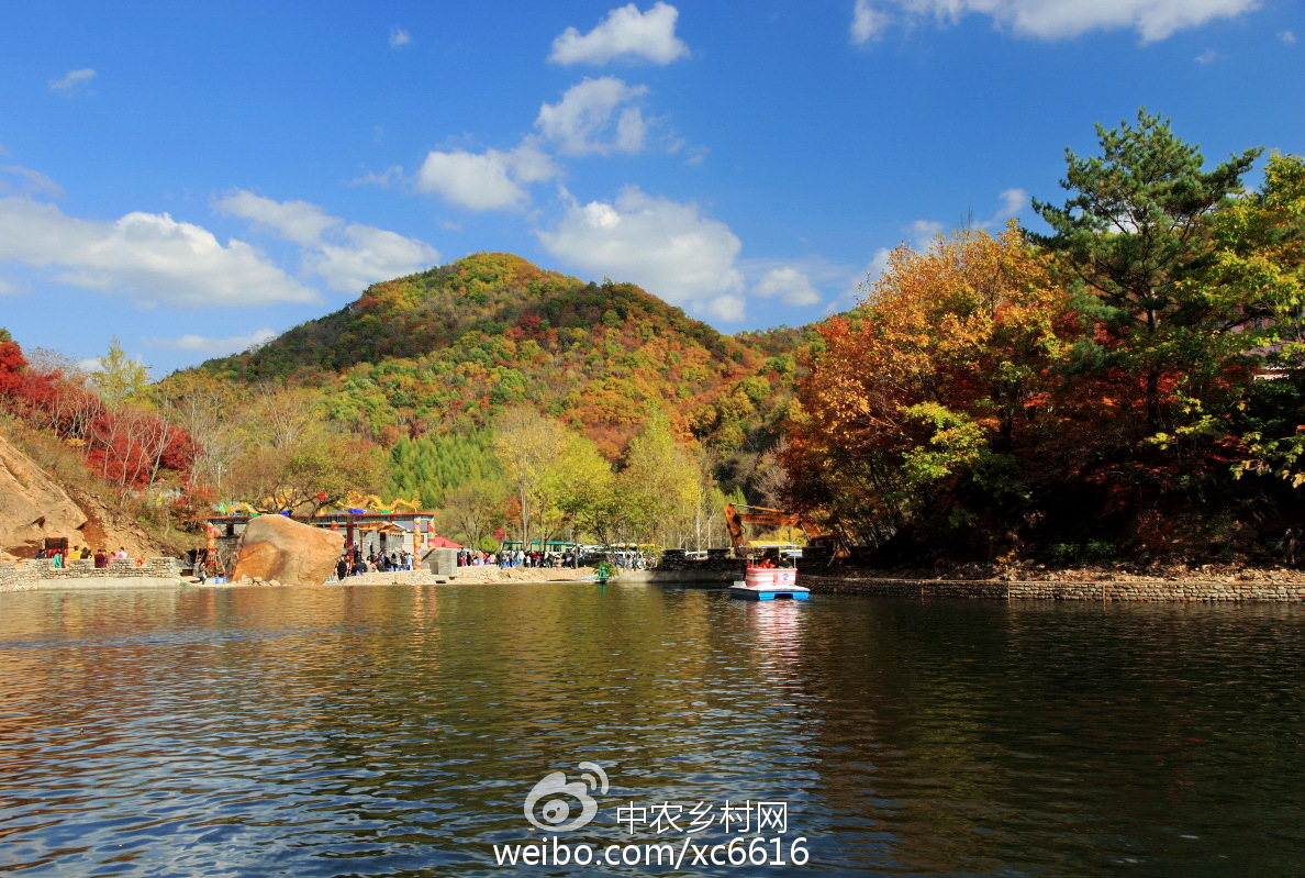 本溪之光，高科技重塑未来，前沿科技魅力体验